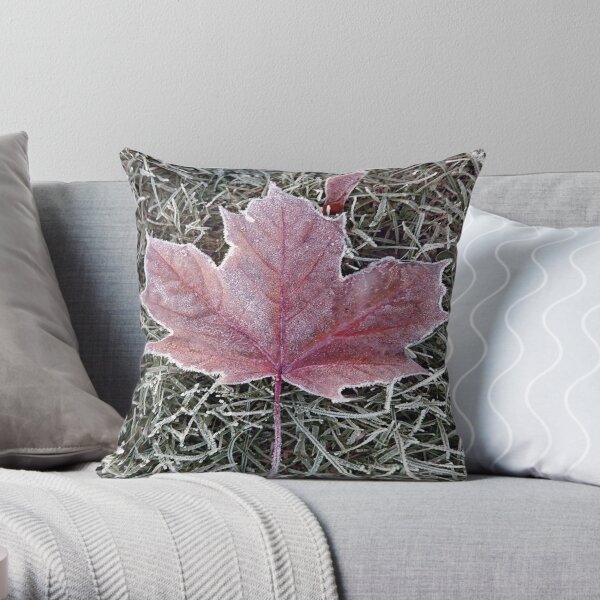 Frosted autumn leaf Throw Pillow