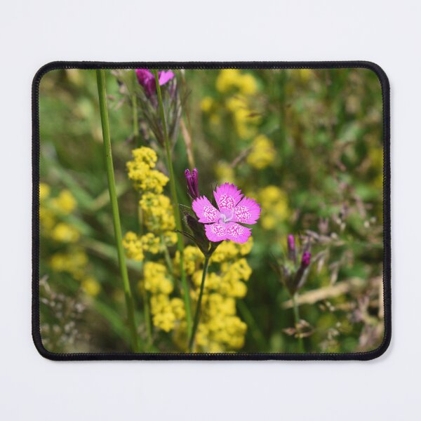 Item preview, Purple and yellow wilfdlowers on a meadow designed and sold by mariya-ivanova.