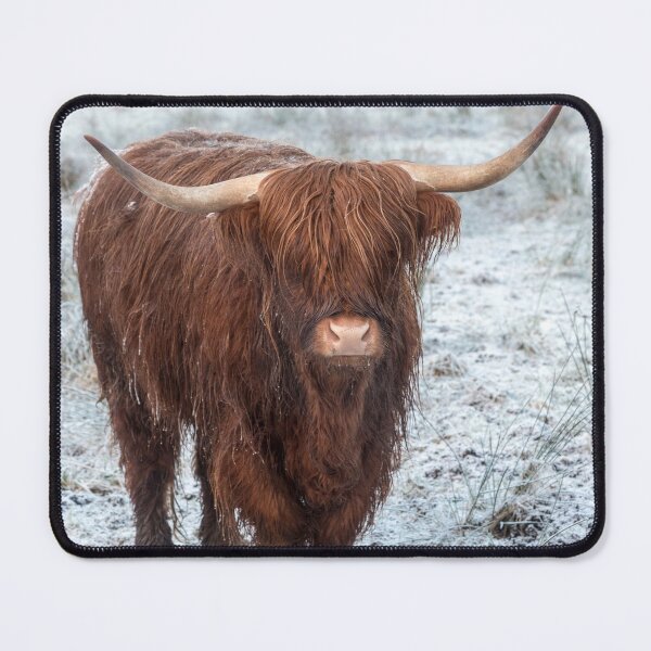 Item preview, Highland Cow in the Snow designed and sold by derekbeattie.