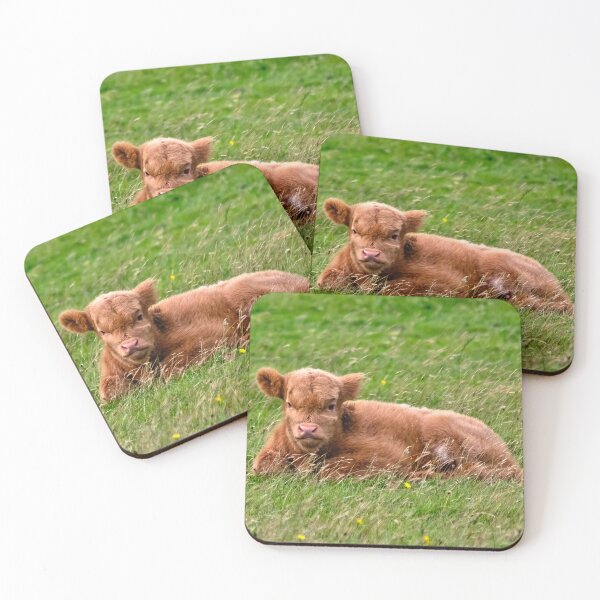 Item preview, Highland Cow Calf designed and sold by derekbeattie.