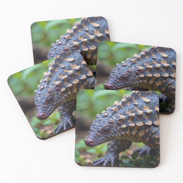 Item preview, Pangolins armored majesty designed and sold by ShroomForge.