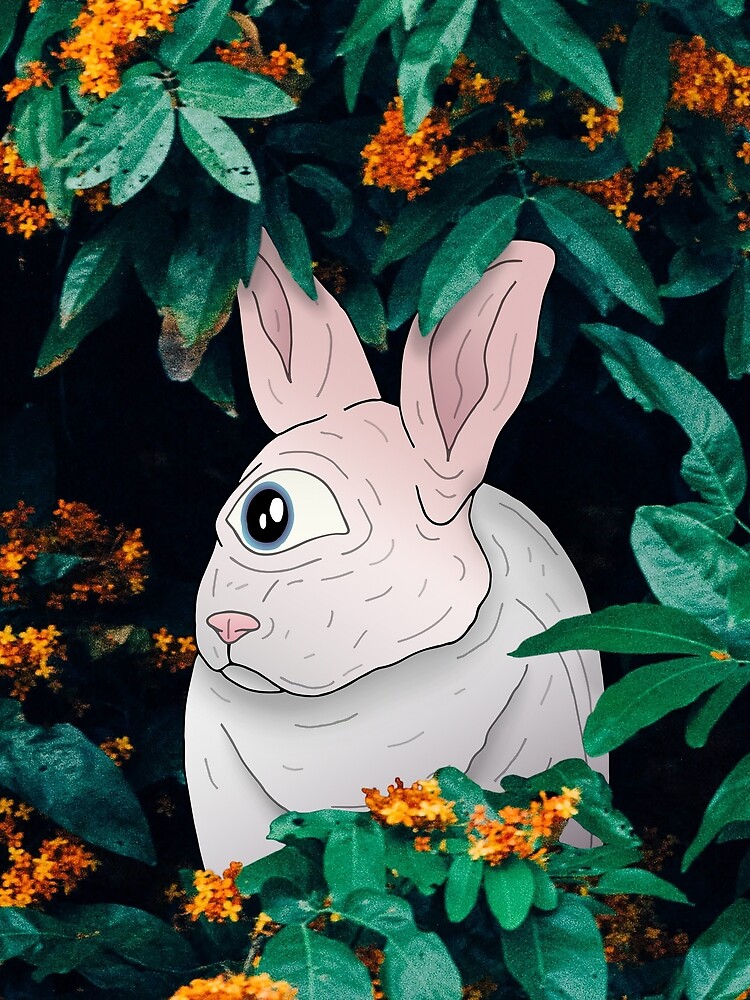 Bunny by bekome