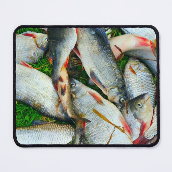 Item preview, Rich catch of fishes. Caught fishes perches common nases breames and crucian on the grass. designed and sold by Decoriolus.