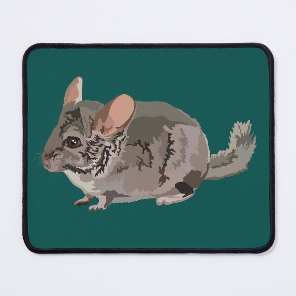 Item preview, C is for Chinchilla ,Chinchilla – Adorable Soft-Furred Rodent Pet and Wildlife Illustration designed and sold by PrettylittlepastelUk.