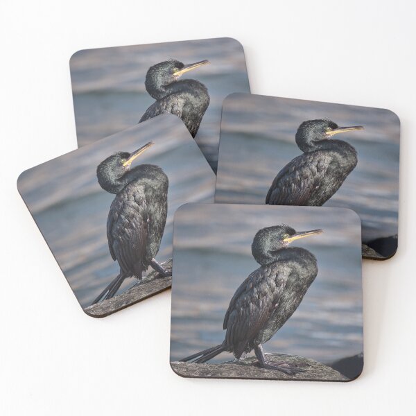Item preview, Cormorant on Rocks designed and sold by Tom McPherson Photography.