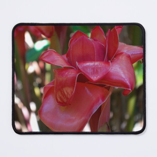 Item preview, Waxy Impressions (Red Torch Ginger) designed and sold by Kerryn Madsen-Pietsch.