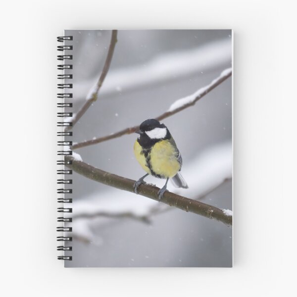 Item preview, Oh yes it is snowing. Great tit designed and sold by Jouko Lehto Photography.