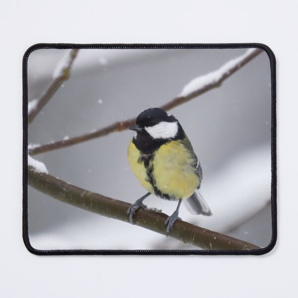 Item preview, Oh yes it is snowing. Great tit designed and sold by Jouko Lehto Photography.