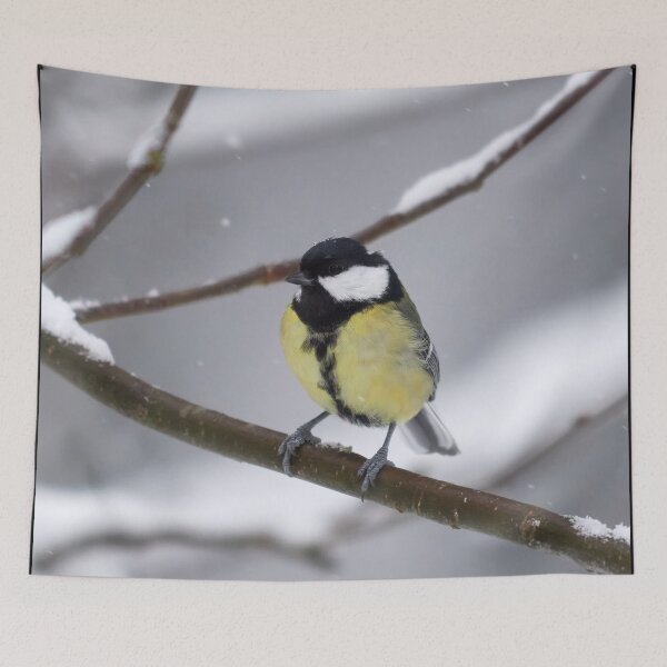 Item preview, Oh yes it is snowing. Great tit designed and sold by Jouko Lehto Photography.