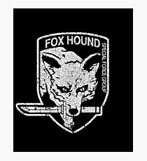 Foxhound (Variant) Photographic Print