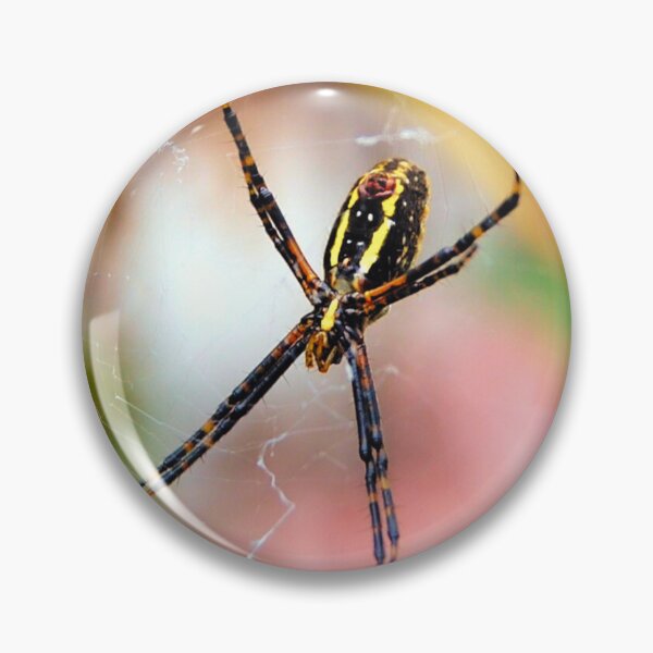Item preview, Spider in Its Web Against Colorful Garden Background designed and sold by CountyKent.