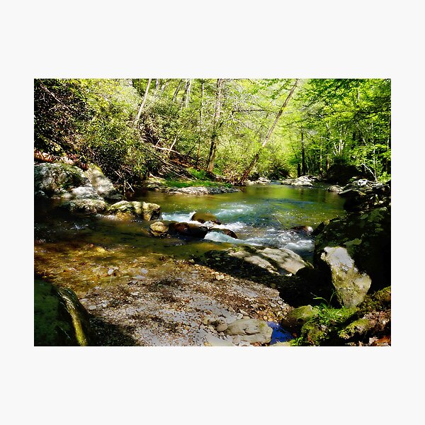 Hiding place Photographic Print