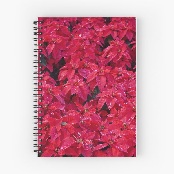Item preview, Winter flowers.  designed and sold by Redfiredragon.