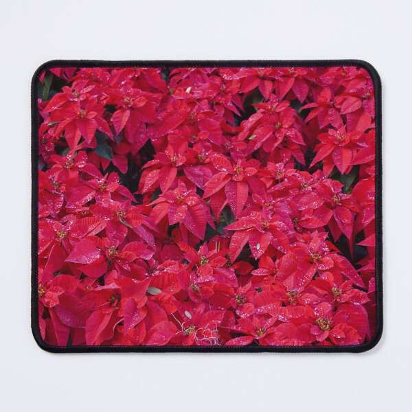 Item preview, Winter flowers.  designed and sold by Redfiredragon.