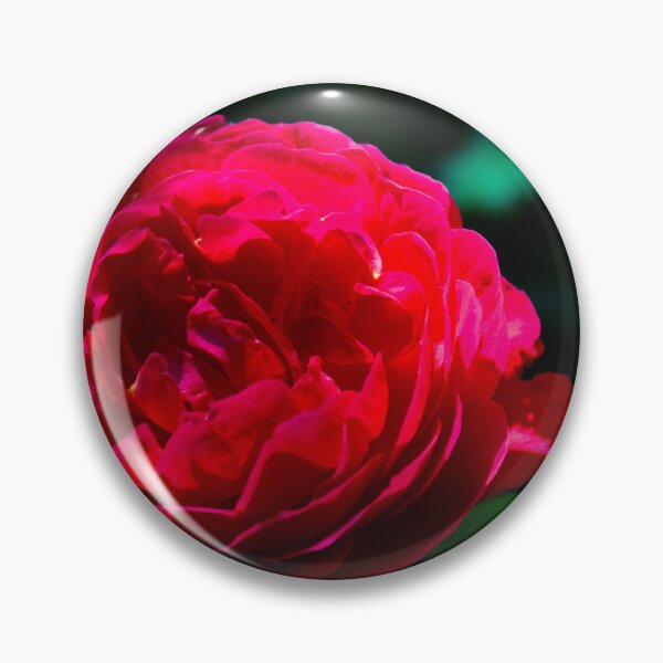 Item preview, A beautiful Red Rose on a blurred background  designed and sold by SilentlyRob668.