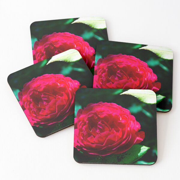 Item preview, A beautiful Red Rose on a blurred background  designed and sold by SilentlyRob668.