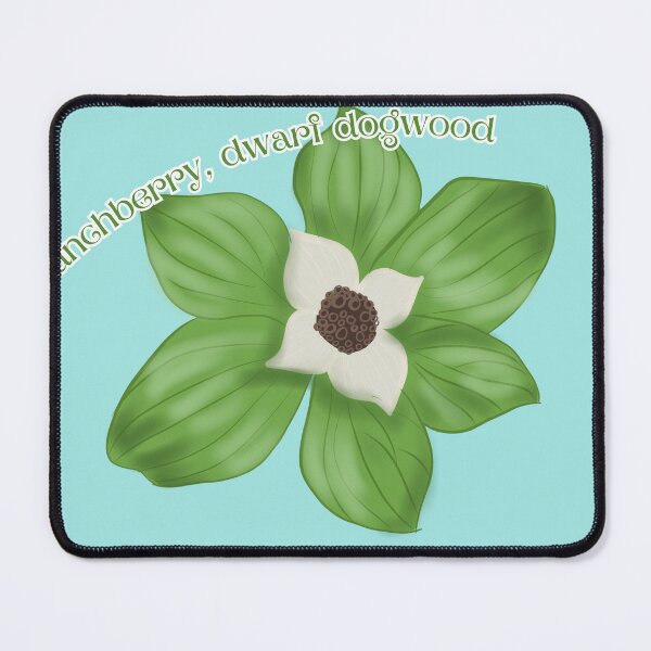 Item preview, Bunchberry, Dwarf Dogwood designed and sold by ErynFalasDesign.