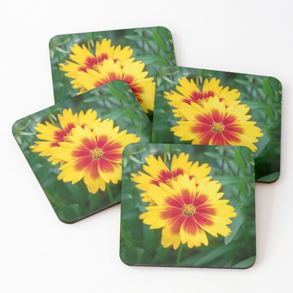 Item preview, Common Indian Blanket Flower X111 designed and sold by RichFrancoCars.