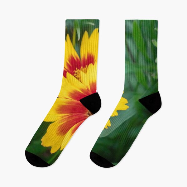 Item preview, Common Indian Blanket Flower X111 designed and sold by RichFrancoCars.