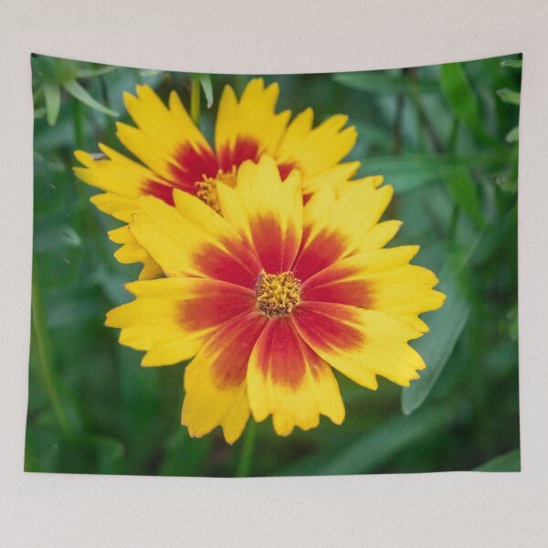 Item preview, Common Indian Blanket Flower X111 designed and sold by RichFrancoCars.