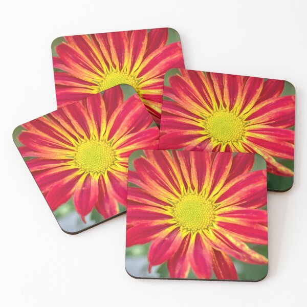 Item preview, Common Indian Blanket Flower X107 designed and sold by RichFrancoCars.