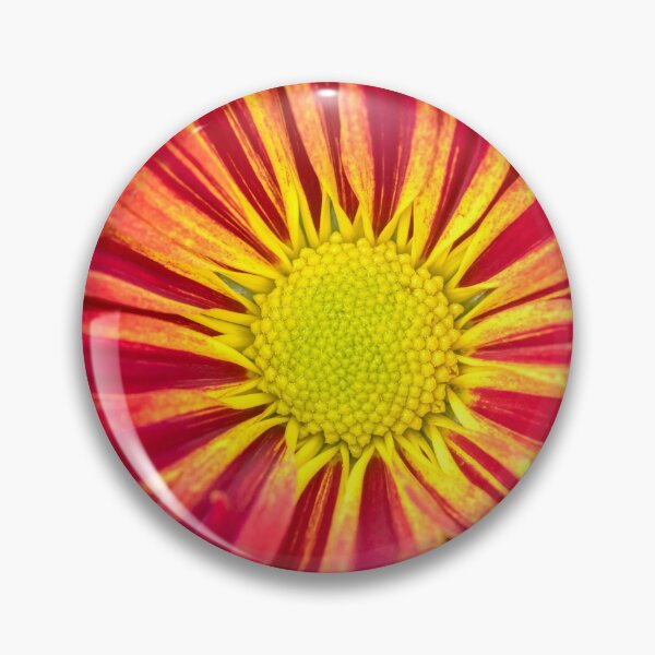 Item preview, Common Indian Blanket Flower X107 designed and sold by RichFrancoCars.