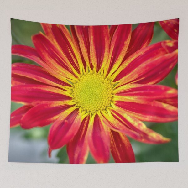 Item preview, Common Indian Blanket Flower X107 designed and sold by RichFrancoCars.