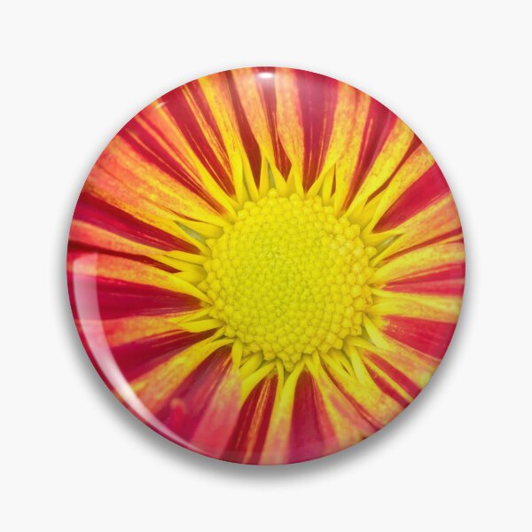 Item preview, Common Indian Blanket Flower X109 designed and sold by RichFrancoCars.