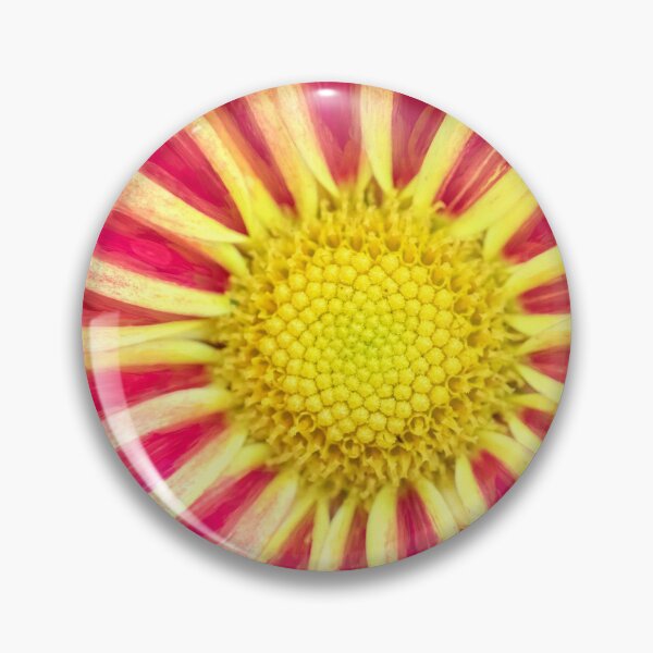 Item preview, Common Indian Blanket Flower X111 designed and sold by RichFrancoCars.