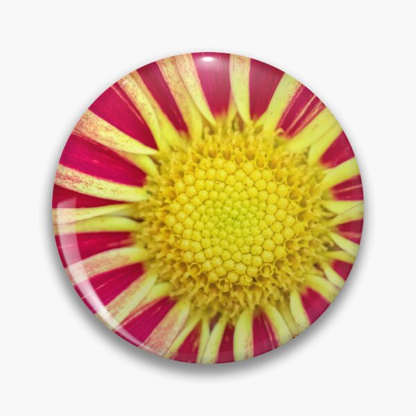 Item preview, Common Indian Blanket Flower X113 designed and sold by RichFrancoCars.