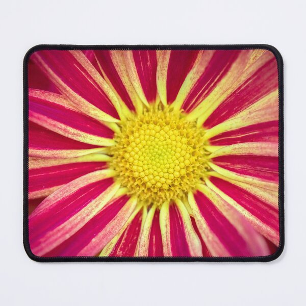 Item preview, Common Indian Blanket Flower X113 designed and sold by RichFrancoCars.