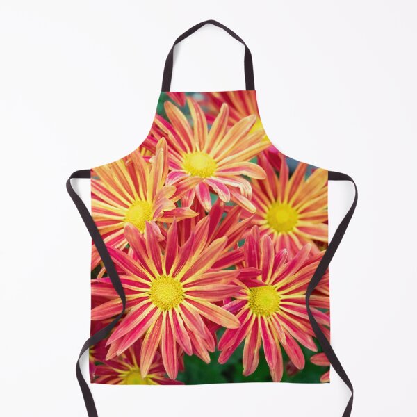Item preview, Common Indian Blanket Flower X115 designed and sold by RichFrancoCars.