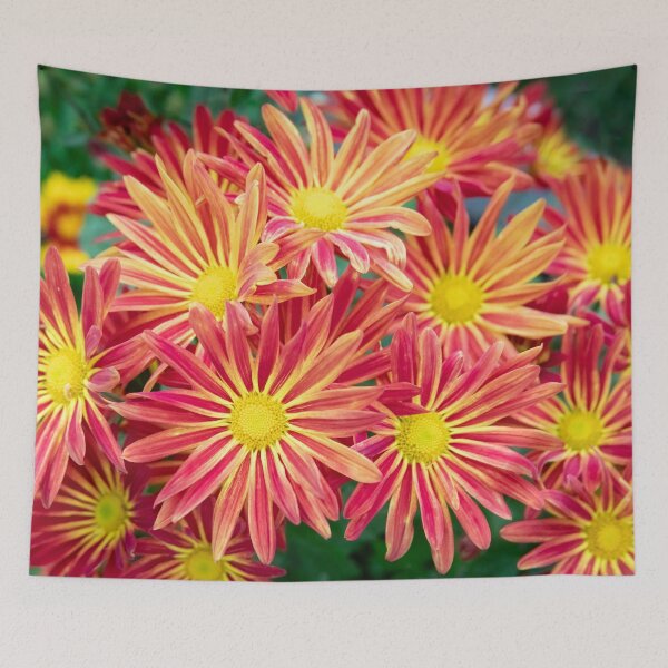 Item preview, Common Indian Blanket Flower X115 designed and sold by RichFrancoCars.