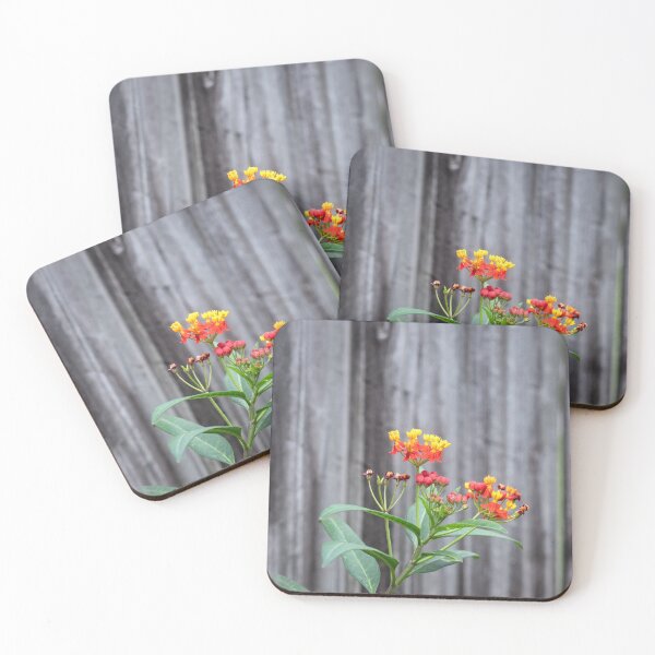Item preview, Milkweed Flowers X117 designed and sold by RichFrancoCars.