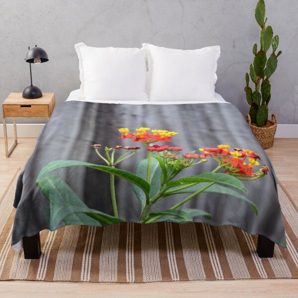 Item preview, Milkweed Flowers X117 designed and sold by RichFrancoCars.