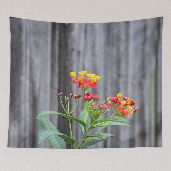 Item preview, Milkweed Flowers X117 designed and sold by RichFrancoCars.