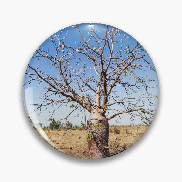Item preview, Boab Tree in the Kimberley designed and sold by Images by Chris de Blank.