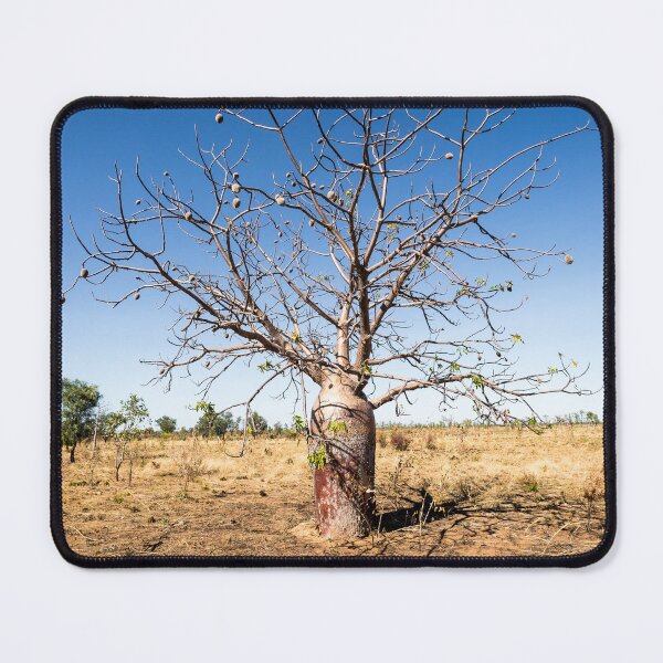 Item preview, Boab Tree in the Kimberley designed and sold by Images by Chris de Blank.