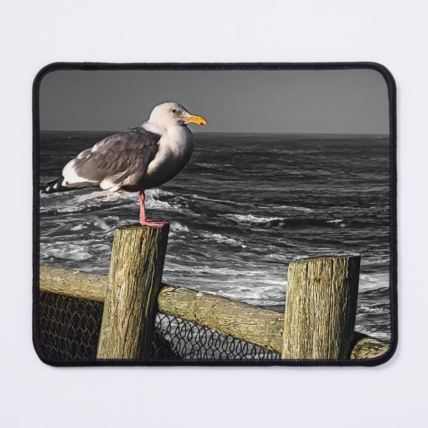 Item preview, baywatch designed and sold by Bruce  Dickson.