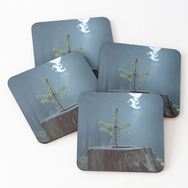 Item preview, A tiny evergreen sapling grows from a moss-covered tree stump in a sunlit forest designed and sold by homydesign.
