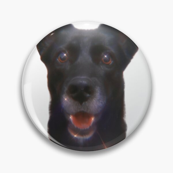 Item preview, Weirdcore shiny dog designed and sold by MeloxineStore.