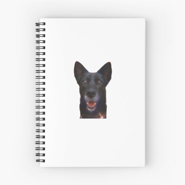 Artikelvorschau, Glänzender Weirdcore-Hund entworfen und verkauft von MeloxineStore.