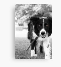 Intense Canvas Print