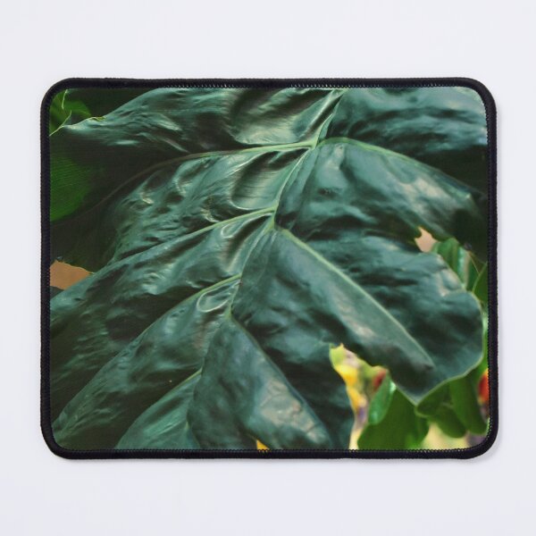 Item preview, Foliage at Bellagio designed and sold by MangoSeeds.