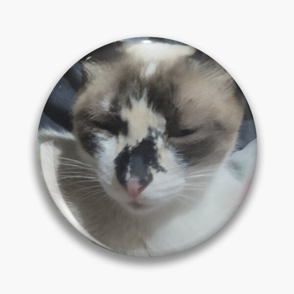 Item preview, Momo cat designed and sold by OooouuuuoooO.