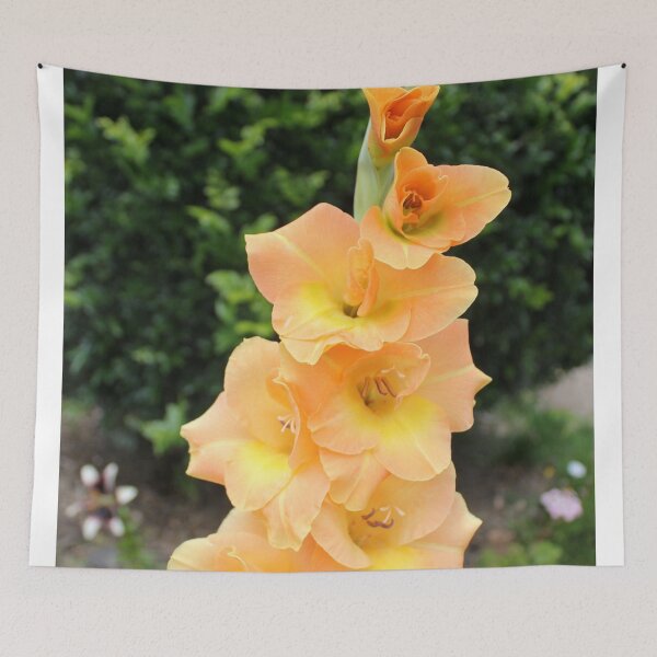 Item preview, Gladi designed and sold by Russell-art88.