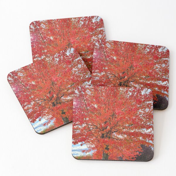 Item preview, Sun Peaking Through  designed and sold by TomikoKH19.
