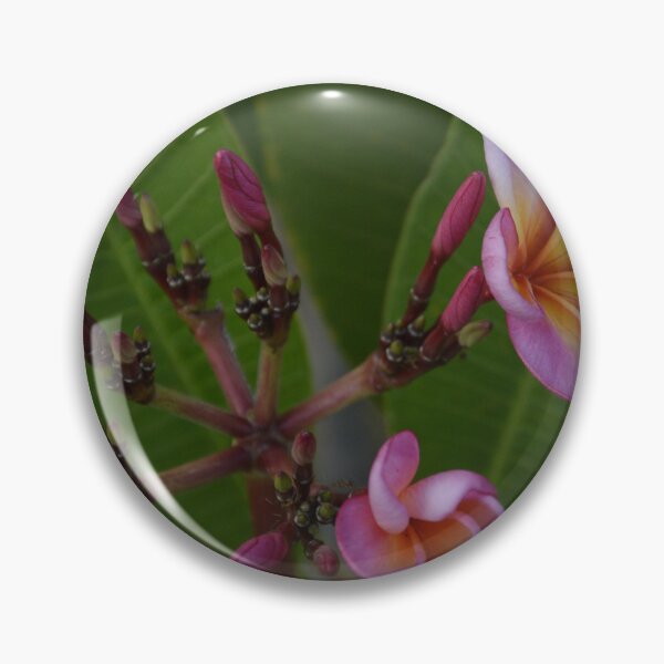 Item preview, frangipani Bali designed and sold by farq.