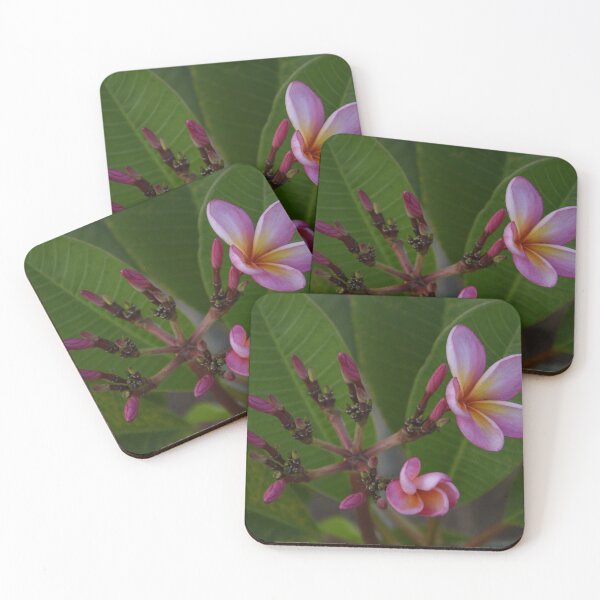 Item preview, frangipani Bali designed and sold by farq.