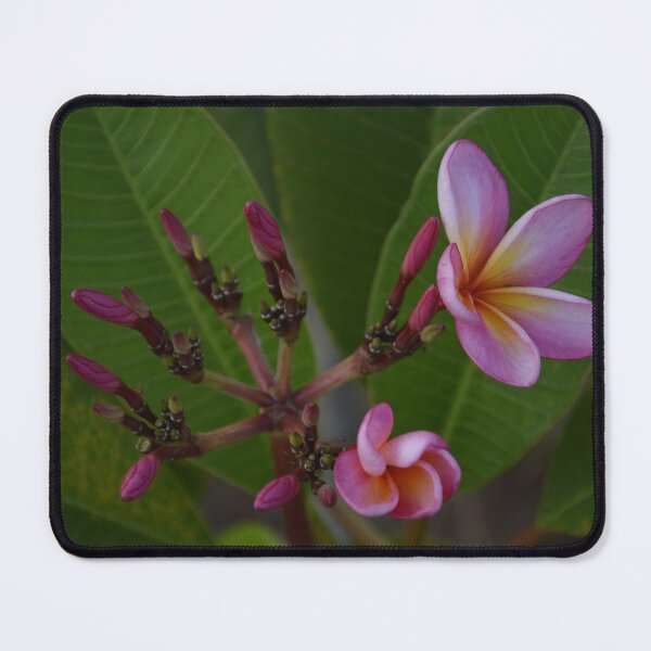 Item preview, frangipani Bali designed and sold by farq.